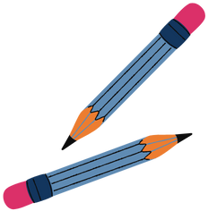 NetCourse 251